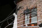 halloween_parade_4398