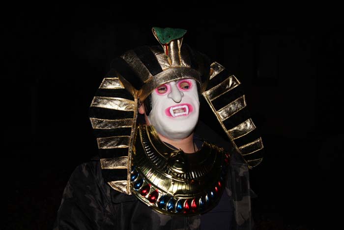 halloween-beez-005