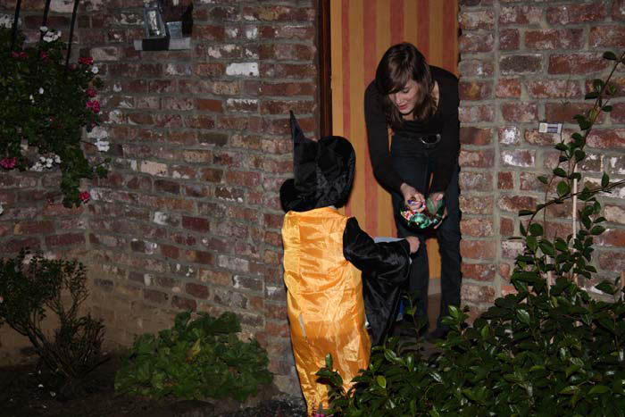 halloween-beez-011