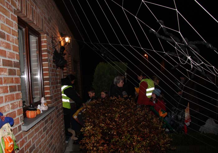 halloween-beez-025