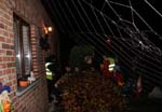 halloween-beez-025