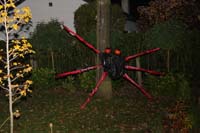 IMG_5803