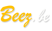 Logo Beez village